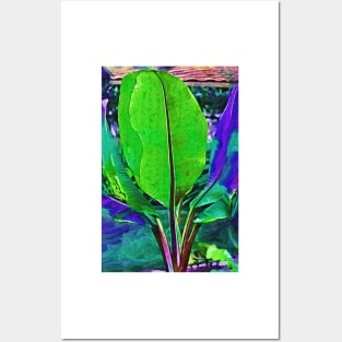 Abstract Banana Plant Posters and Art